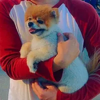 original sound - chase.towers