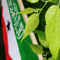 original sound - kalaankal4