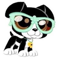 lps63biggestfan