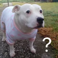 Girls who wear glasses r gae as hell