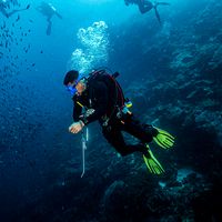 suara asli - tian.aquino99