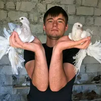 original sound - mitu.mihai