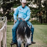 noreinsperformancehorses