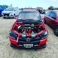 cessar6599
