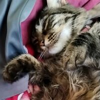 miavictoriajaldinribera