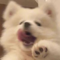 oxnuhk