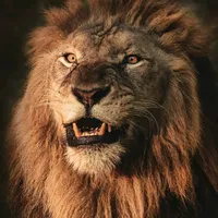 original sound - nasmotiva