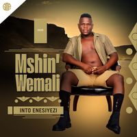 mshinwemali