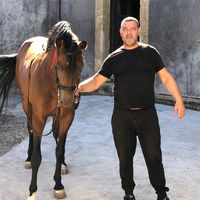 francogravagana74