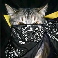 suara asli - xlndyx♐