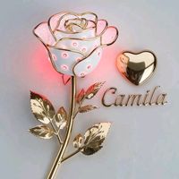 camilao4o5