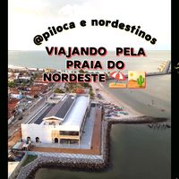 pilocaenordestino