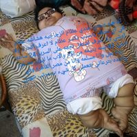 heba.wagdi