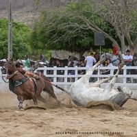 natanmacedo09
