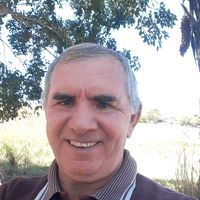 pedromelo3192