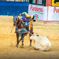 eduardo_h101