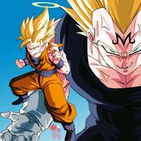 vegeta.unico