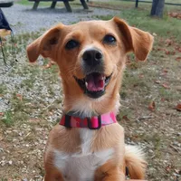 original sound - venuss018