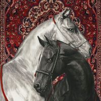 _sheeem_