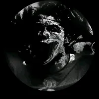 original sound - gerardo.velasquez26