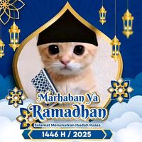 kandi.ardiansyah8