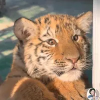 original sound - susannay2