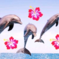 tuviolinista_deconfianza