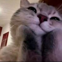 оригінальний звук