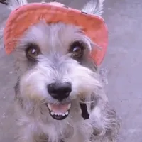 original sound - dulceorejitas15