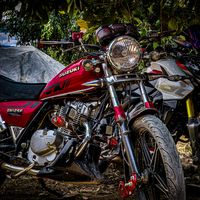 davi...morales...502