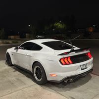curttt5.0