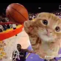 original sound - sakuras.spam.acc