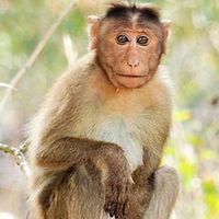 independentjournalist1