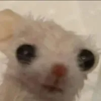 original sound - a.astengo18