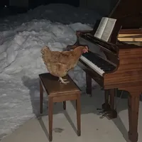 original sound - beatboxjoe101