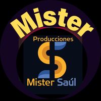 .mistersaul