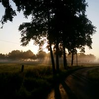 kastanienhof.wingst