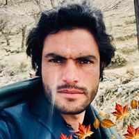 sadiqzurmati