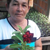 dudu.rosa.do.deserto