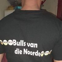 shelvinjanse