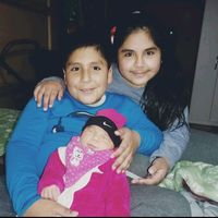 camilaarroyo_lainsecta