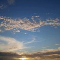 franciscafelix157