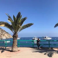 original sound - tashidema642