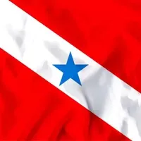 original sound - melody_paraense