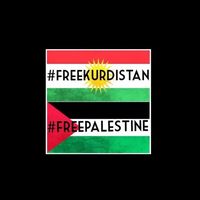 d1n.kurdiaaa