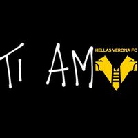 hellas_verona__