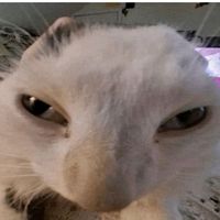 lluxcx
