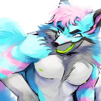 original sound - Kryptochrome