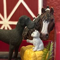 schleich_horses247
