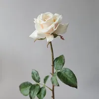 original sound - qerfdh12345